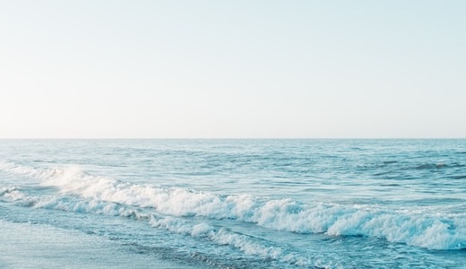 関西創価高校がユネスコスクール全国大会で学校賞