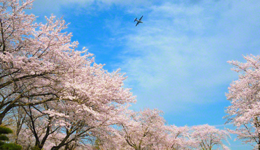 池田大作先生の2030年へ　希望の王子・王女に贈る