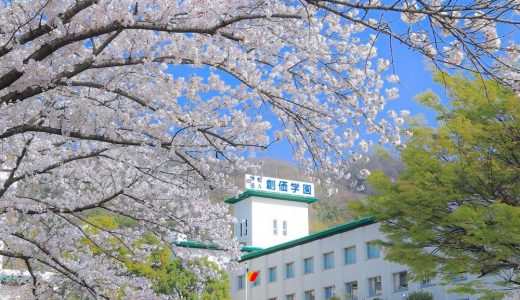 学園桜のスマホ壁紙