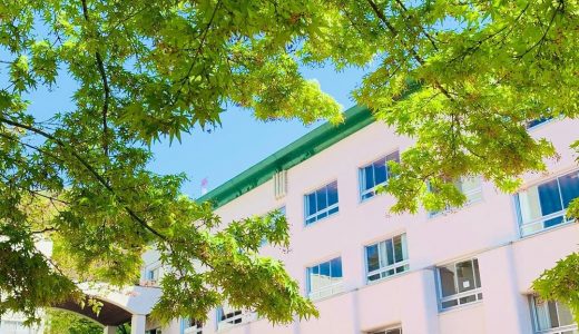 学園の自然 -新緑-