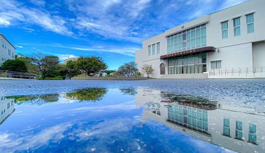 学園の自然 -台風一過-