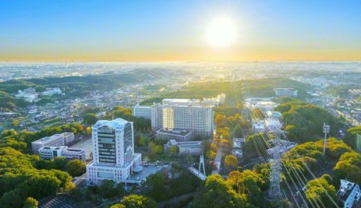 〈写真特集〉　創価大学　光の詩