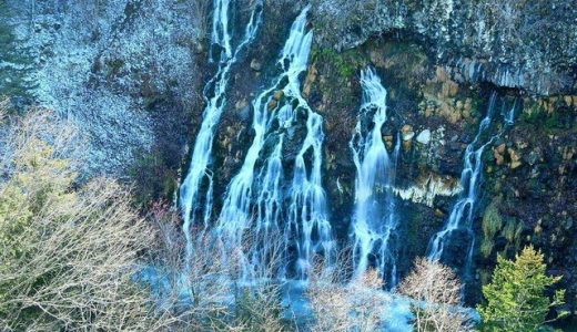義母からの信心　子から孫へ継承
